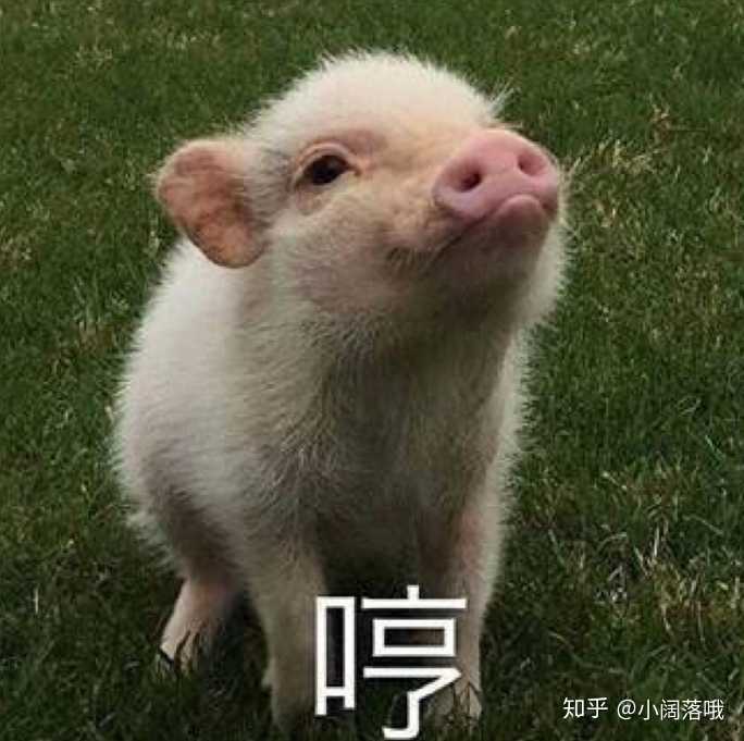 电脑想换个显卡