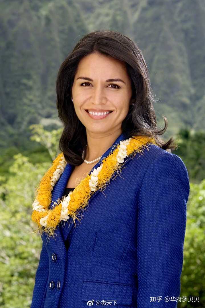 如何评价希拉蕊指控绿党jill stein和众议员 tulsi ga