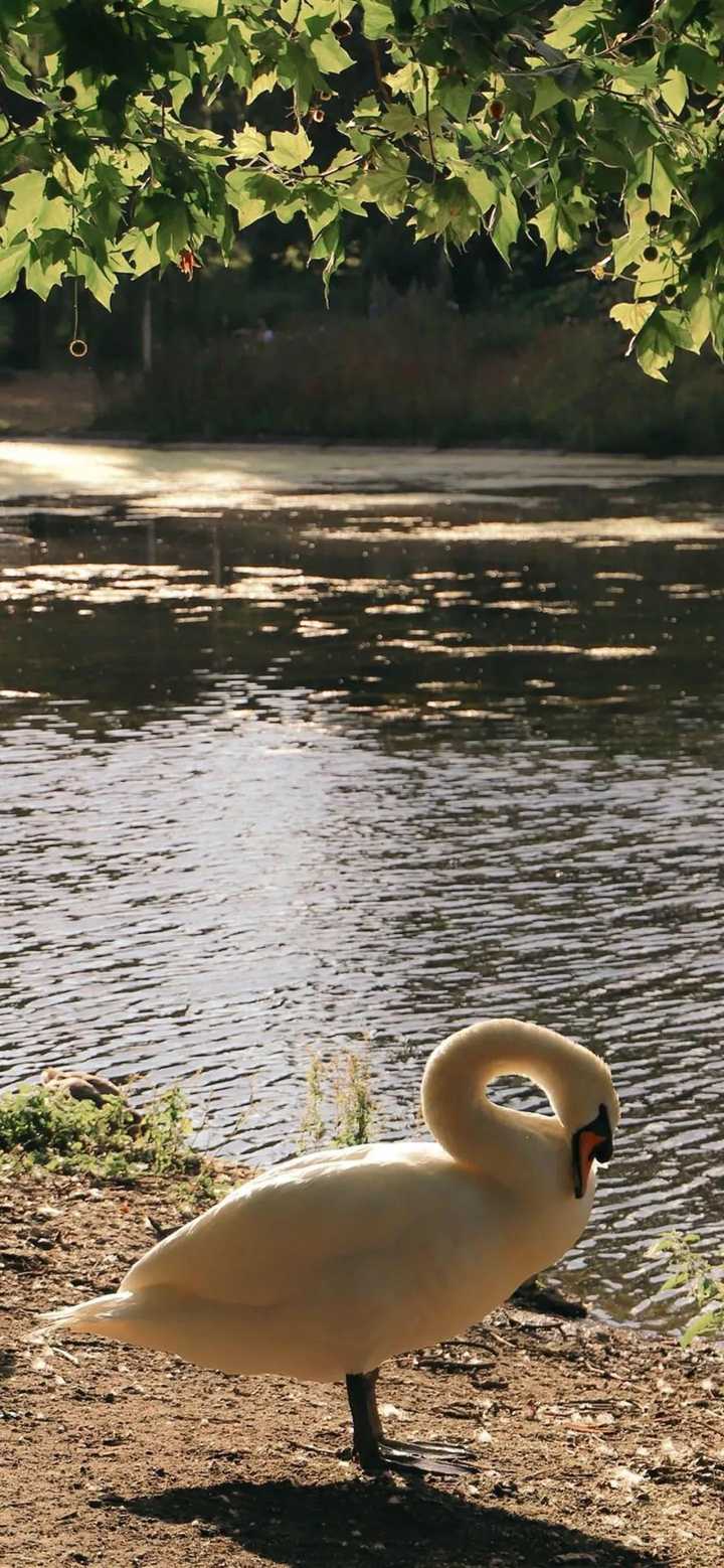 有哪些一眼就能让人平静下来的壁纸?