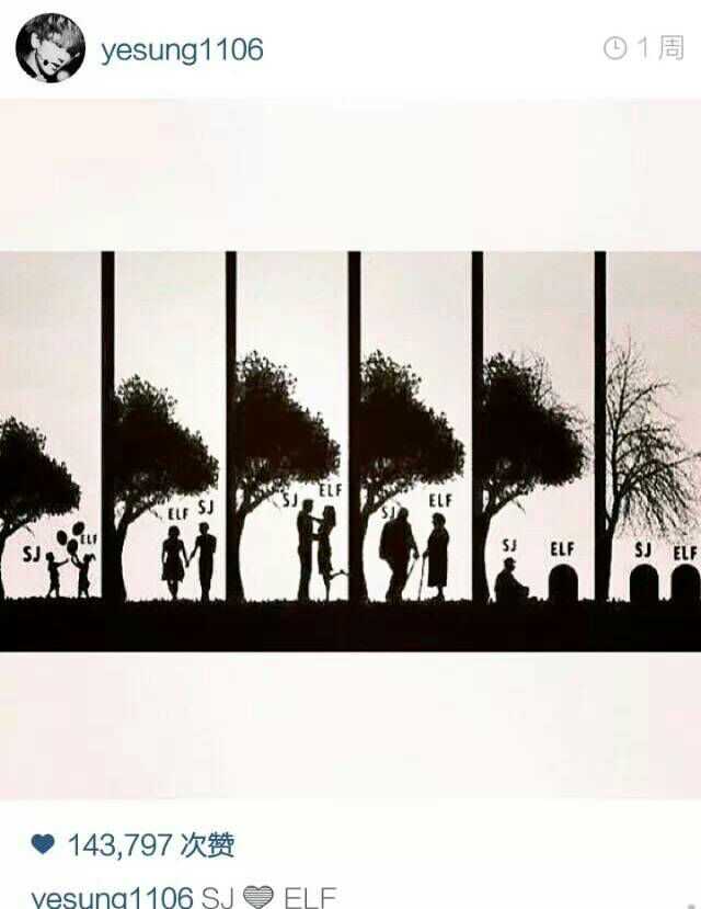 Twice每个人的学历 Twice每个成员的担当 Twice队内担当分配