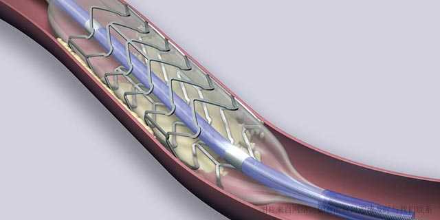 我的收藏夹 - 收藏夹 - 知乎