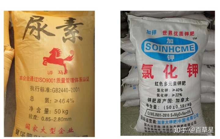 肥料 有哪些种类 它对植物有哪些作用 知乎 肥料 有哪些种类 它对植物有哪些作用 知乎