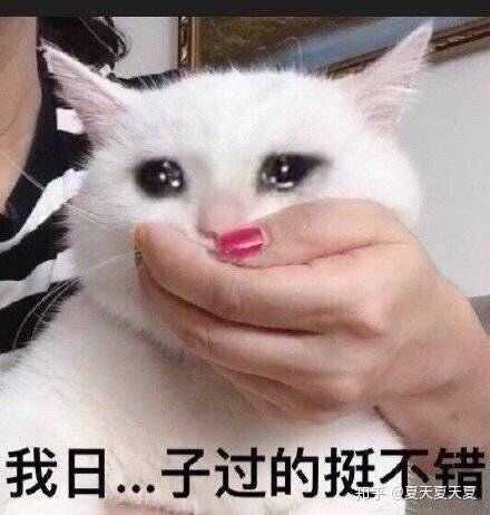          _          _          