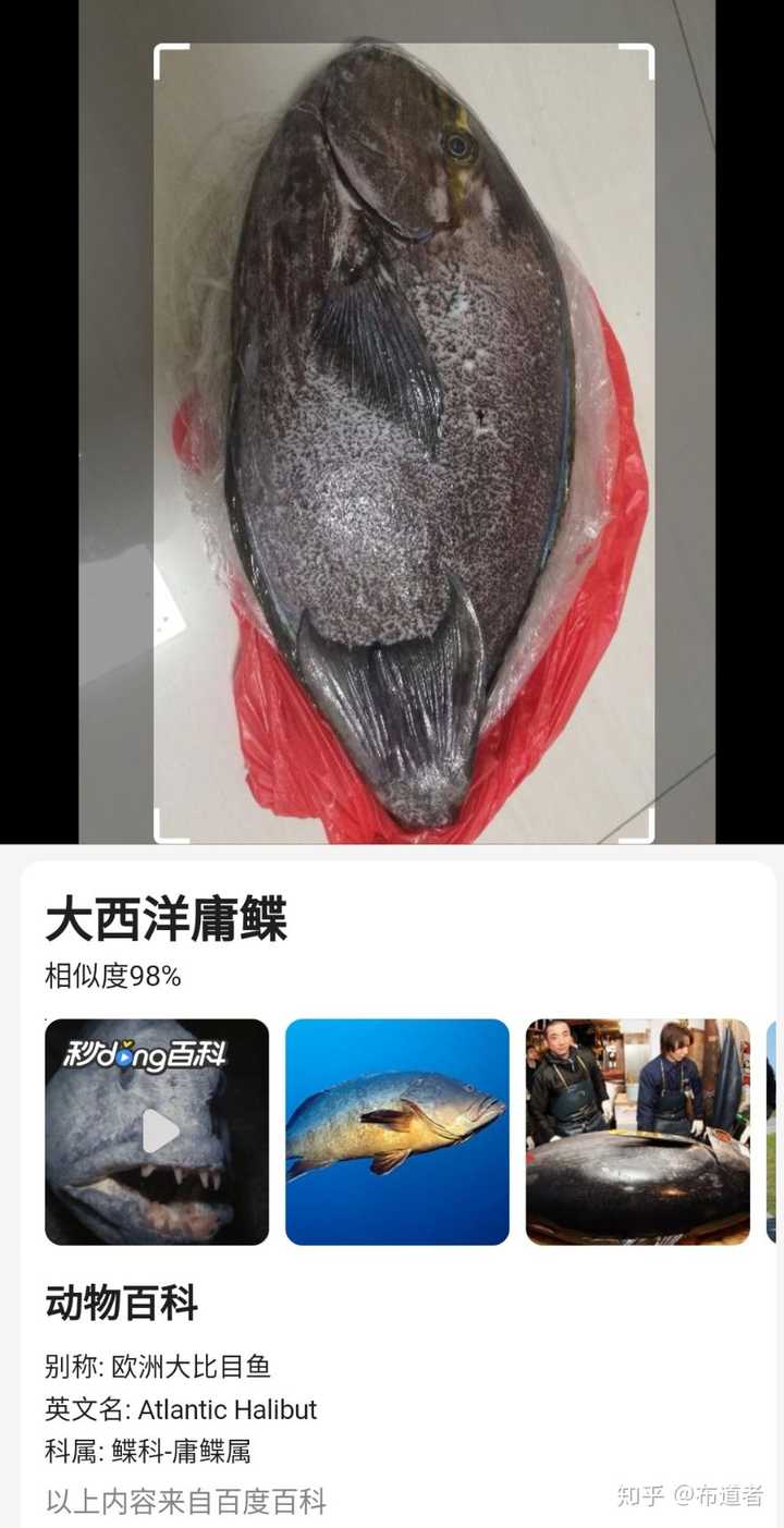 请问这鱼叫什么名字 有毒吗 知乎 请问这鱼叫什么名字 有毒吗 知乎