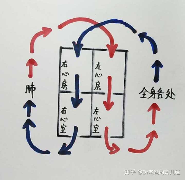 叶克膜 Ecmo 是一种什么技术 知乎
