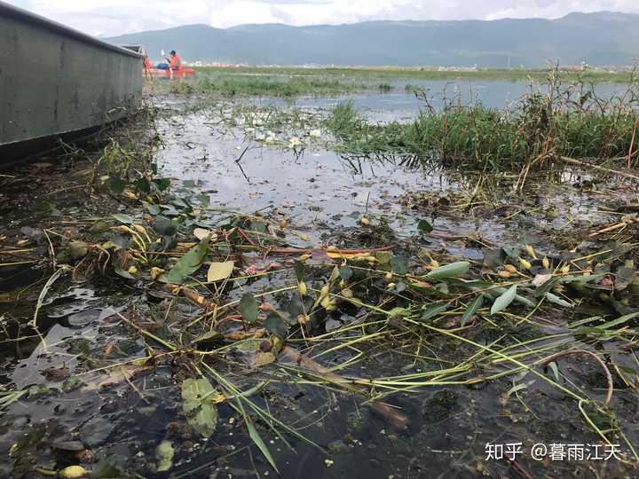 下个月去云南，抚仙湖和泸沽湖，拉市海有必要都去吗