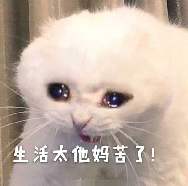 有什么万能表情包?