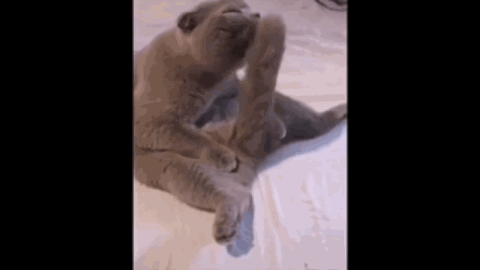 开启外链图片自动本地化后,如何让部分图片不要自动本地化