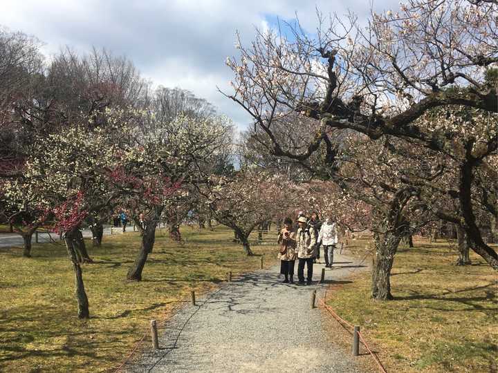 去日本自助旅游应该注意什么 知乎