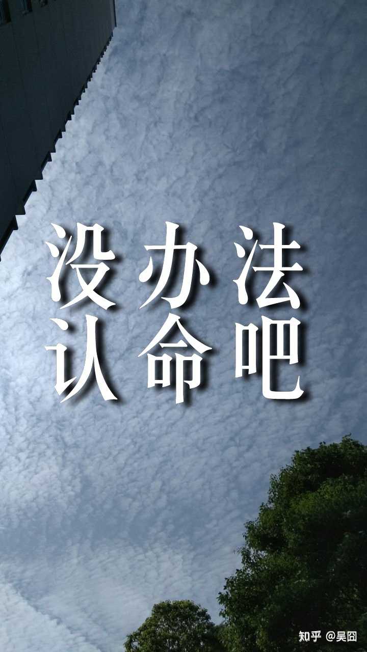 我真命不好啊