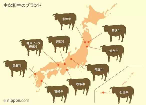 日本和牛为什么那么贵 知乎 日本和牛为什么那么贵 知乎