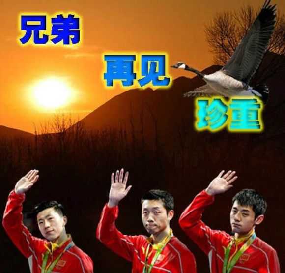 收好表情包,给你999朵玫瑰 别忘了,我们是朋友!
