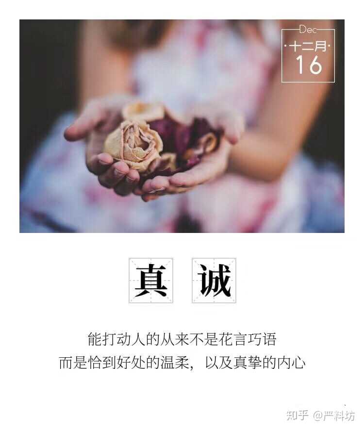 为自己认真生活时就显露真诚,为别人奋不顾身时就全是真挚.