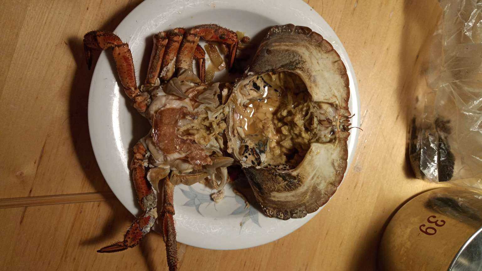 活面包蟹40一斤,大白菜20一斤——斯德哥尔摩的迷之物价.