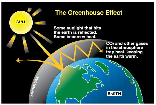 客观存在的温室效应是引起全球变暖的本质原因