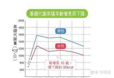如何提高自己的基础代谢率 Bmr 知乎