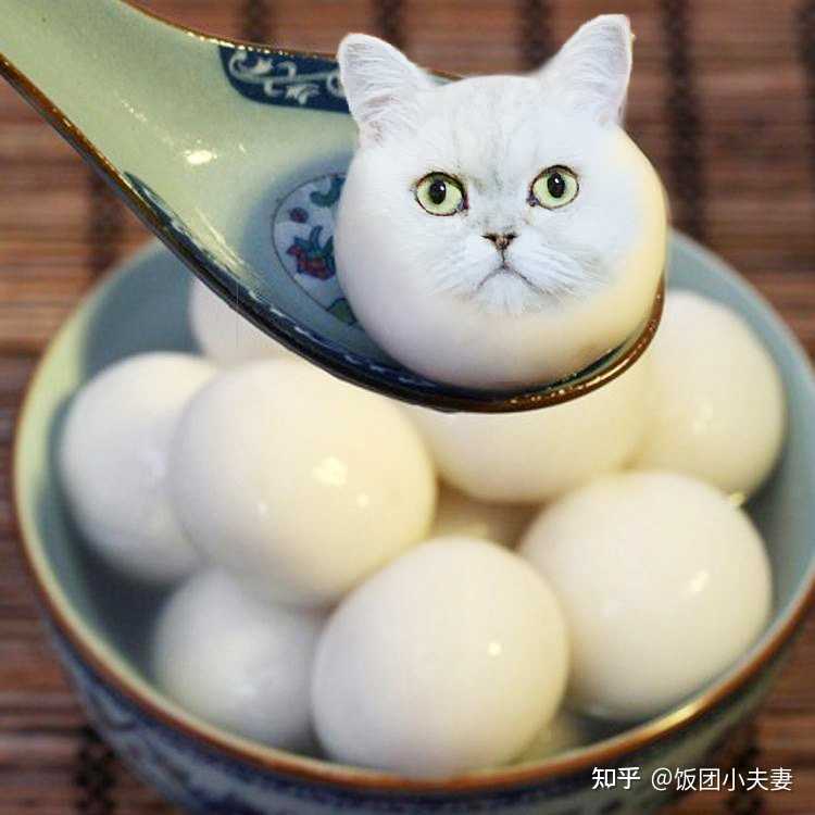 饭团小夫妻 的想法: 汤圆表情包哪家强,还是要我们猫咪上!今… - 知乎