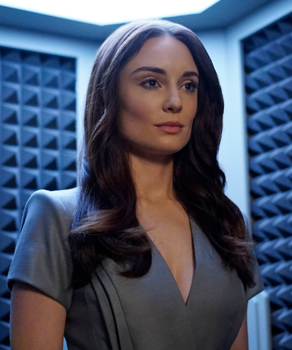 艾达(a.i.d.a.),全称artificial intelligence digital assistant