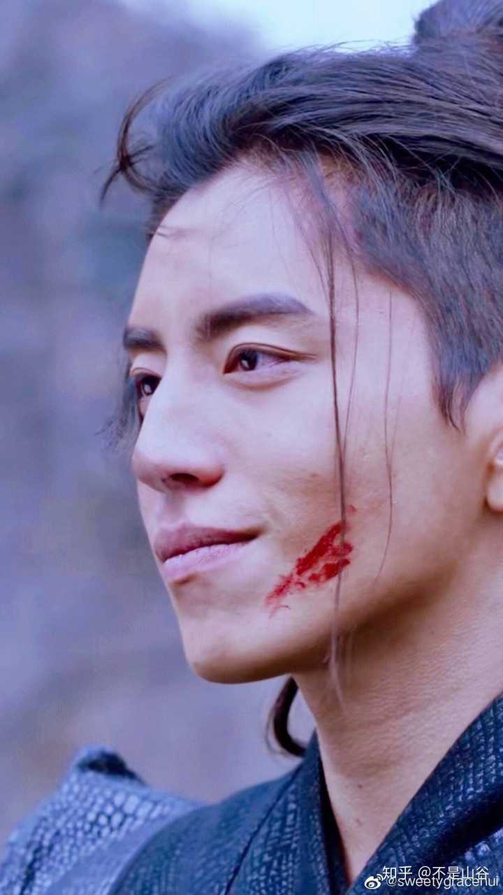 有没有王大陆照片呀