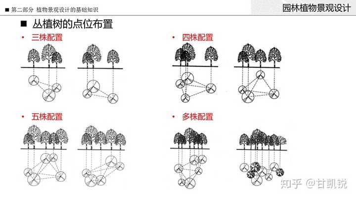 ②植物景观设计基础知识 学习:植物景观设计的概念,原则和植物在造景