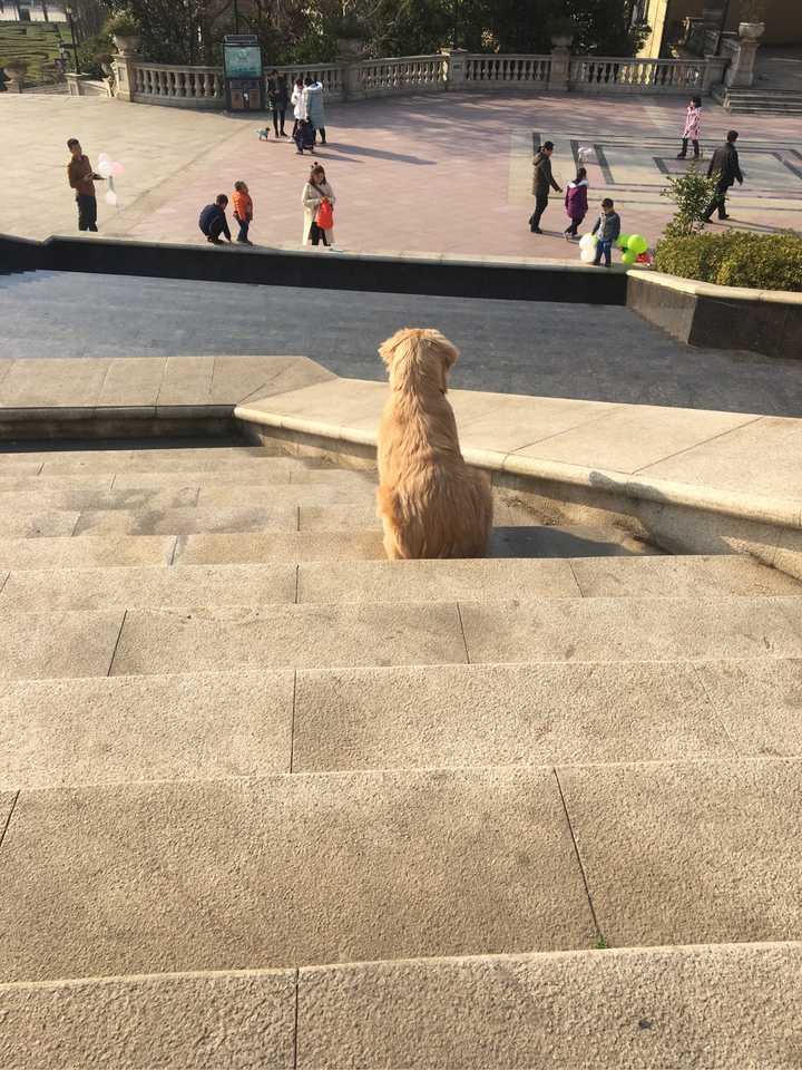 一张孤寂的背影照