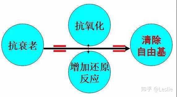 leslie人口模型_人口 长期趋势挑战仍在,短期改善或被低估