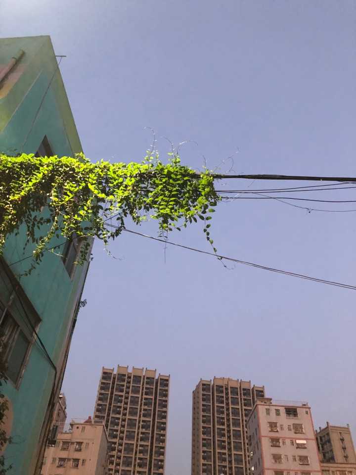 打卡,坂田河背村.凌晨5:56回家,其实我是一个有家的人.