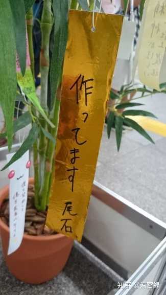 对 魔法少女小圆 动画第二季 你有什么期待 涼宮緑的回答 知乎