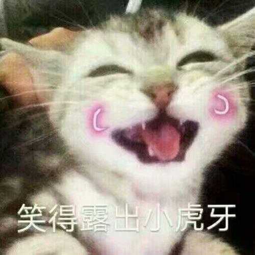 有没有那种既沙雕又搞怪的朋友圈文案?