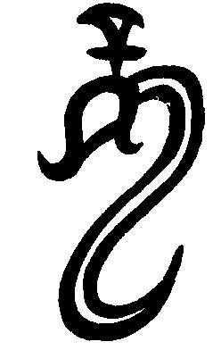 龙字最早的甲骨文字形