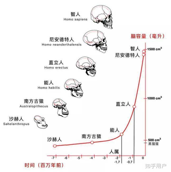 人类身体的合理与不合理之处有哪些？ - 知乎