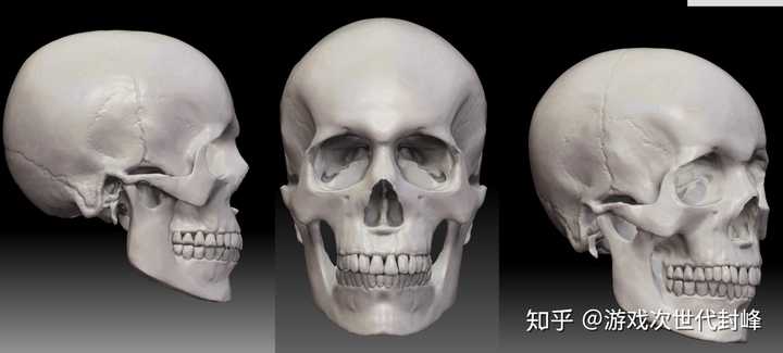 零基础想转行学习3d游戏角色建模不知从何下手