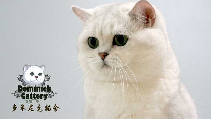 关于猫咪寄生虫问题，生骨肉喂养的猫咪，需要更勤做驱虫么？ - 知乎