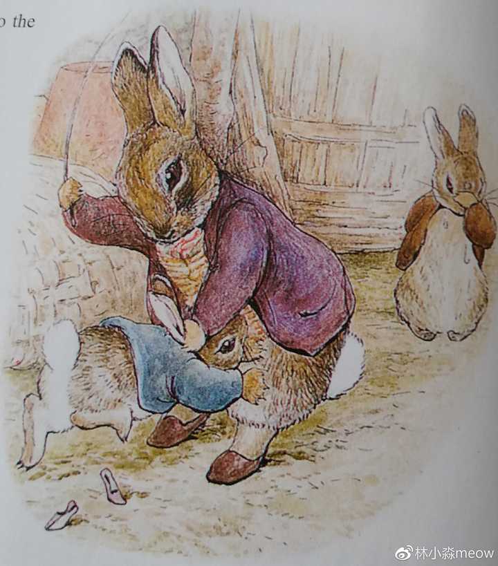 如何评价电影《比得兔》?