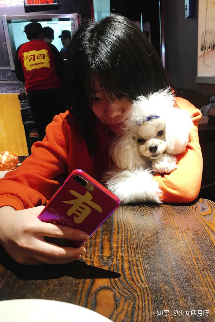 梦境奇缘，与我家小狗的温馨对话——一场心灵深处的交流