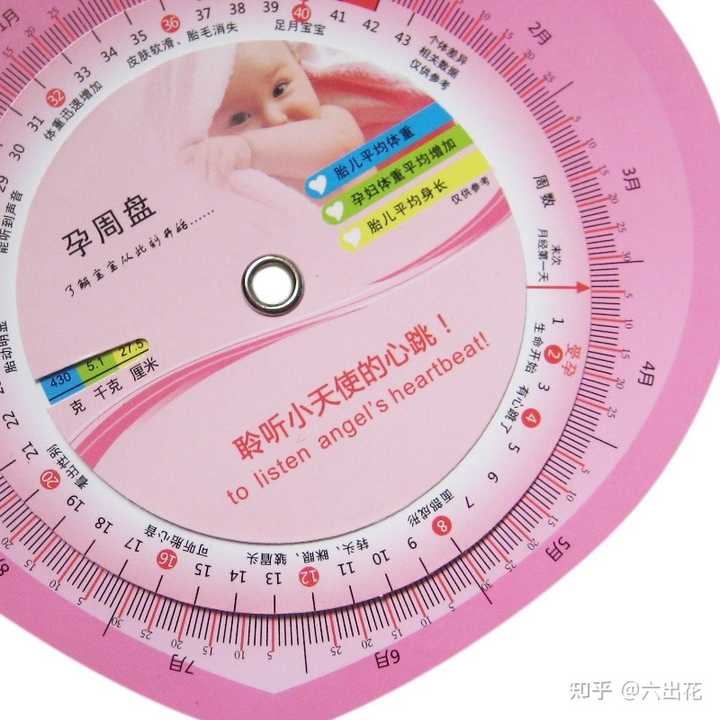 周数计算器在线 天数 预产期怎么算才最准确 自动测试生男女计算器