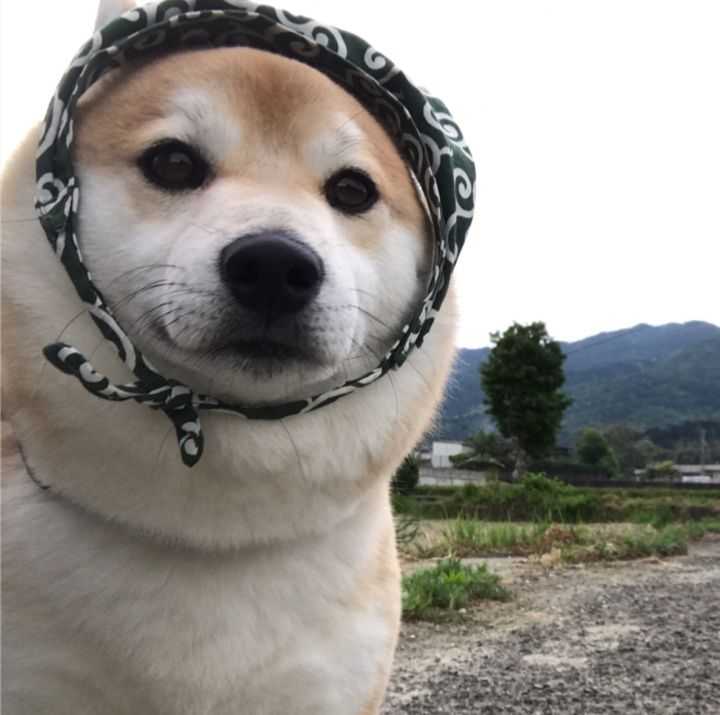 摊手, 2 人赞同了该回答 发布于 2017-10-05 2 添加评论 分享 收藏