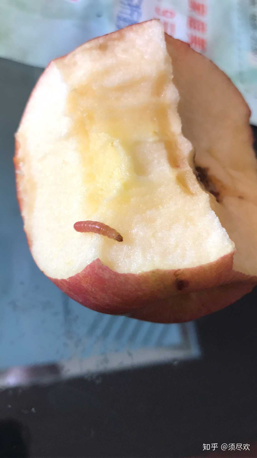 刚刚吃苹果,咬了一口,有意外收获,还有… - 知乎