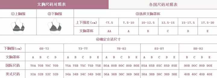 该如何选择正确的内衣尺码 知乎 该如何选择正确的内衣尺码 知乎