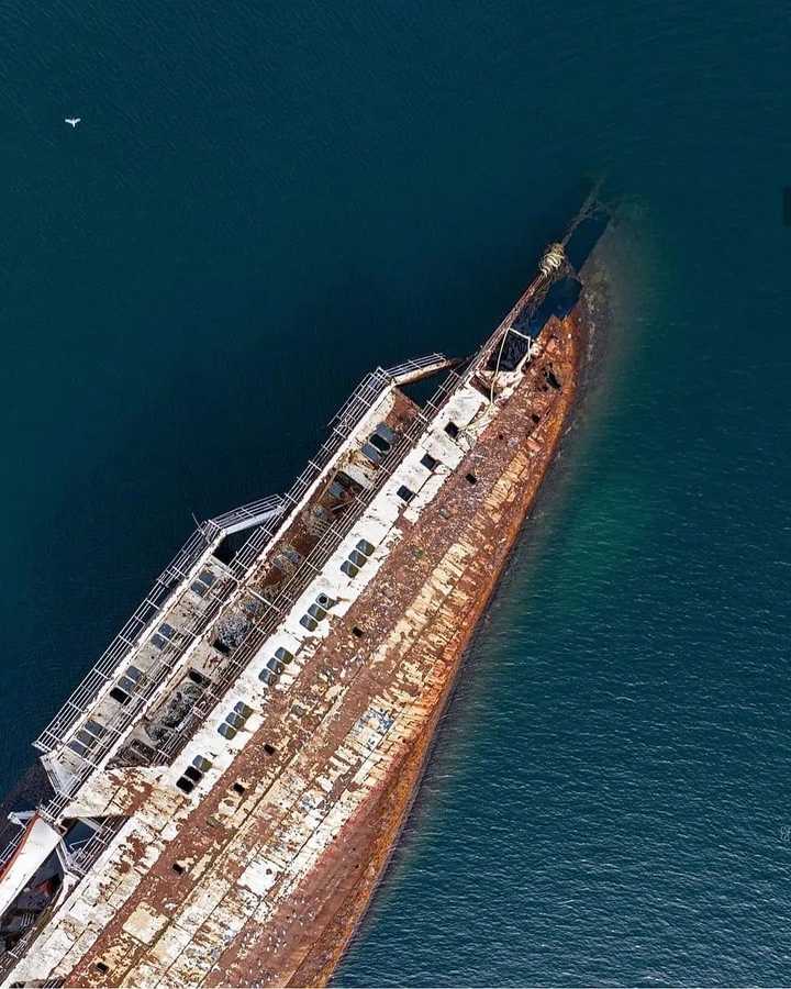 有没有表现巨物恐惧症的图片 知乎