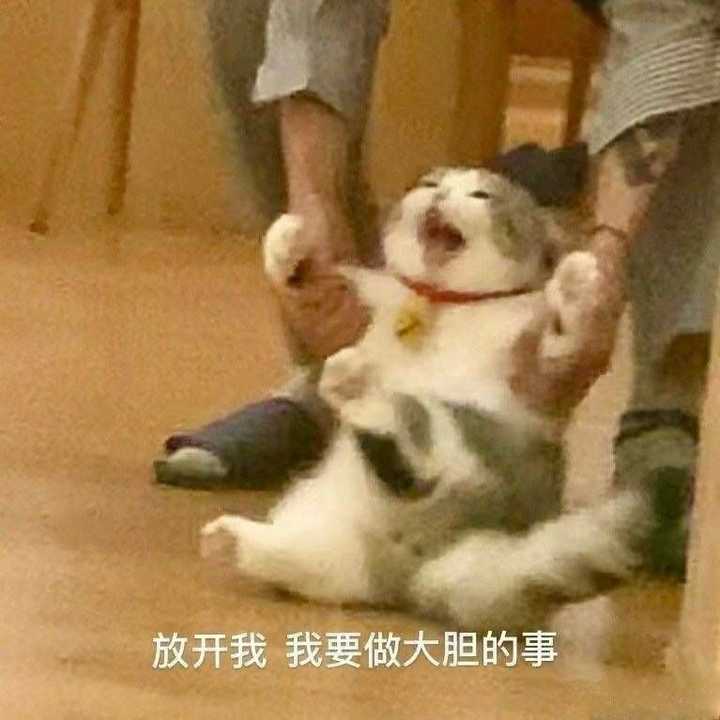 有没有特别酷的文案?