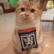 子知