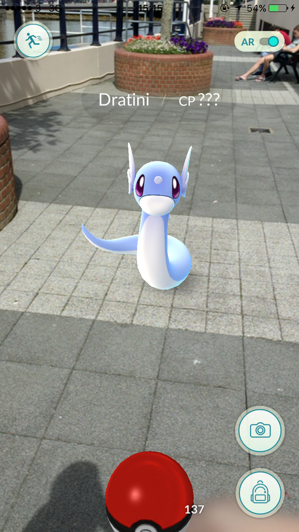 迷你龙美艳无双!