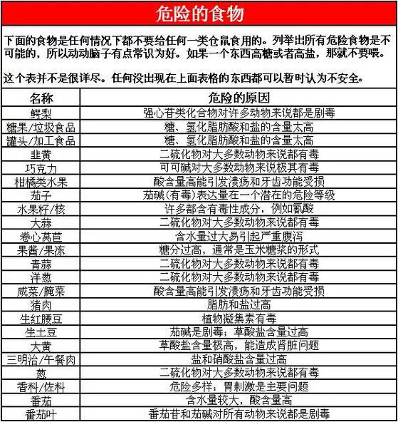 鼠粮快没有,仓鼠可以吃什么?