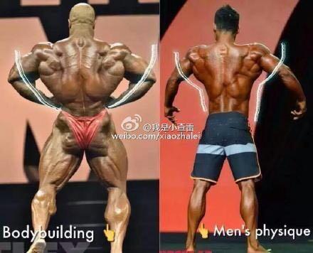 健美和健体的区别是什么?