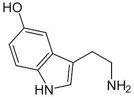 药物减肥_内分泌减肥药物_减肥药物有哪些