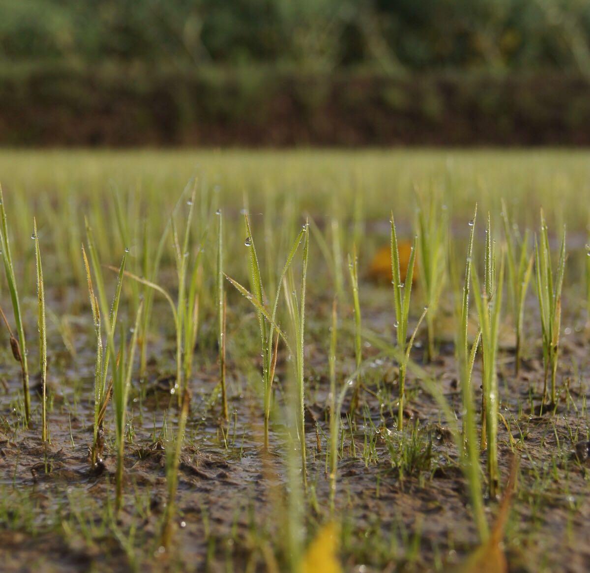 专科生与本科生就业的差异与发展前景? - 彭谟