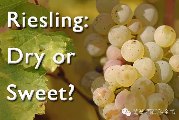 每日葡萄:雷司令Riesling - 知乎