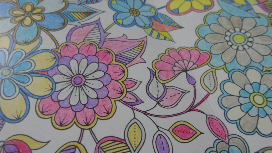 涂秘密花园到底需要什么样的彩色铅笔