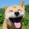 田大官人